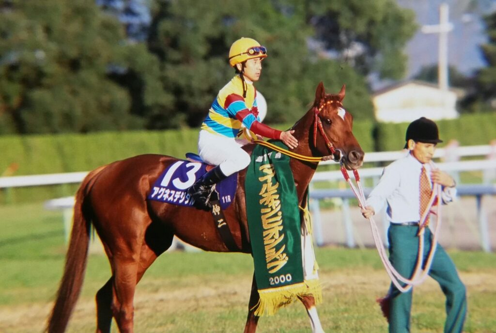 新時代の扉」をこじ開けたヒーロー - アグネスデジタル | ウマフリ