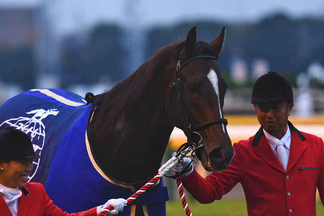 まつりの日、まっすぐな心で。 - 2016年ジャパンカップ・キタサン