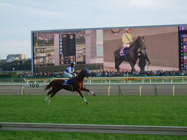 ウオッカvsダイワスカーレット。日本の競馬史上