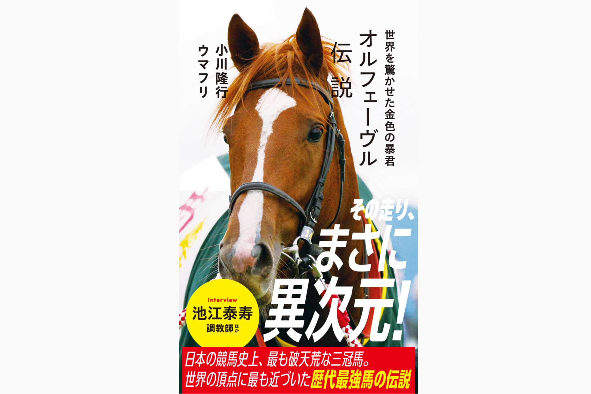 オルフェーヴル伝説］試練の春、希望の秋へつなぐ仁川にかかる金色の虹