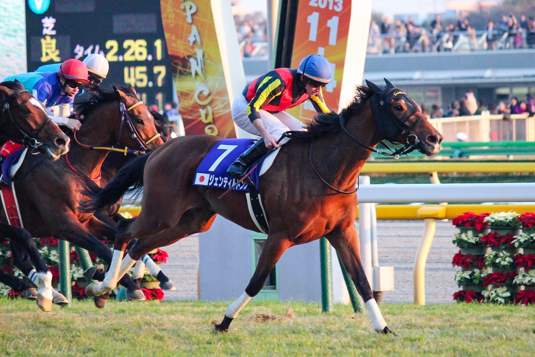 牝馬三冠・GⅠ7勝】ジェンティルドンナ 実使用 調教ゼッケン☆4（約1年