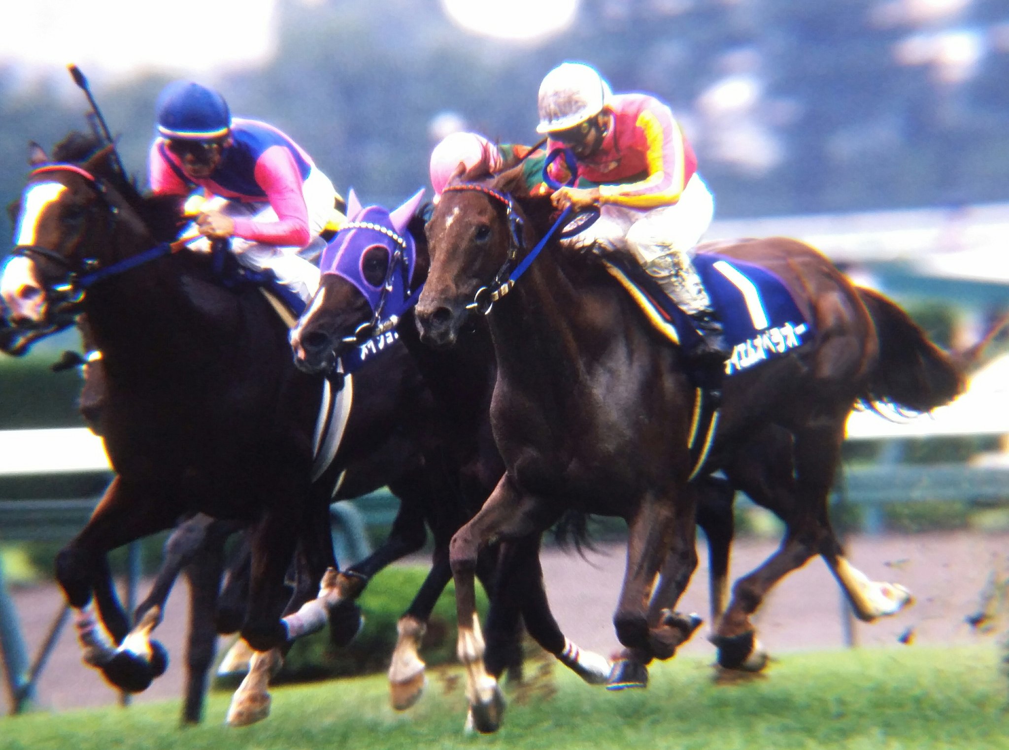 現地単勝2001宝塚記念 メイショウドトウ100円 テイエムオペラオー