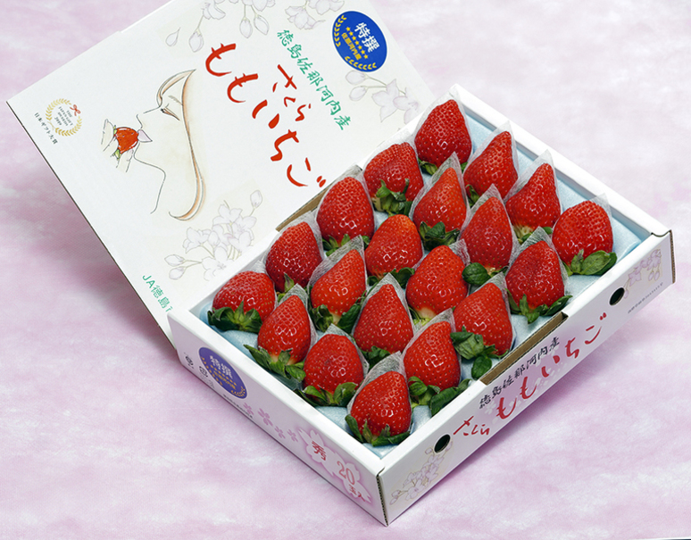 大粒「さくらももいちご」徳島県佐那河内産 約700g（16〜24粒）化粧箱