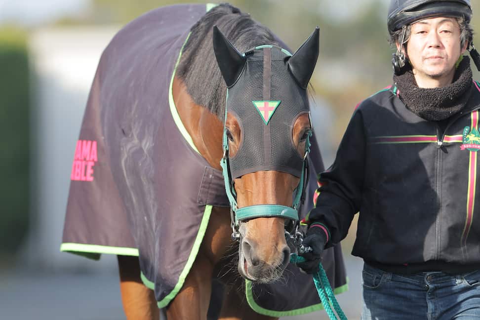 阪神JF GⅠ予想ドキュメント ◎への道】運も味方！13分の7の抽せん突破