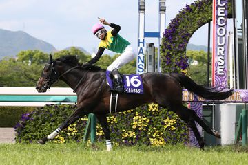 中山記念を制したパンサラッサがドバイターフ参戦｜競馬ニュース｜競馬