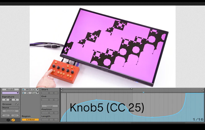 Critter & Guitari ビデオ・シンセサイザー 
