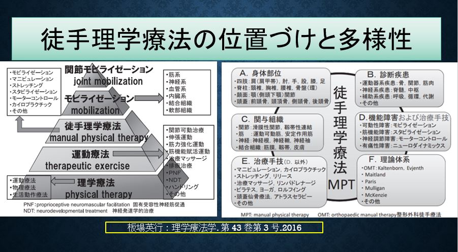 徒手療法の手技（種類）一覧をまとめて解説』 | 運動器リハゼミ