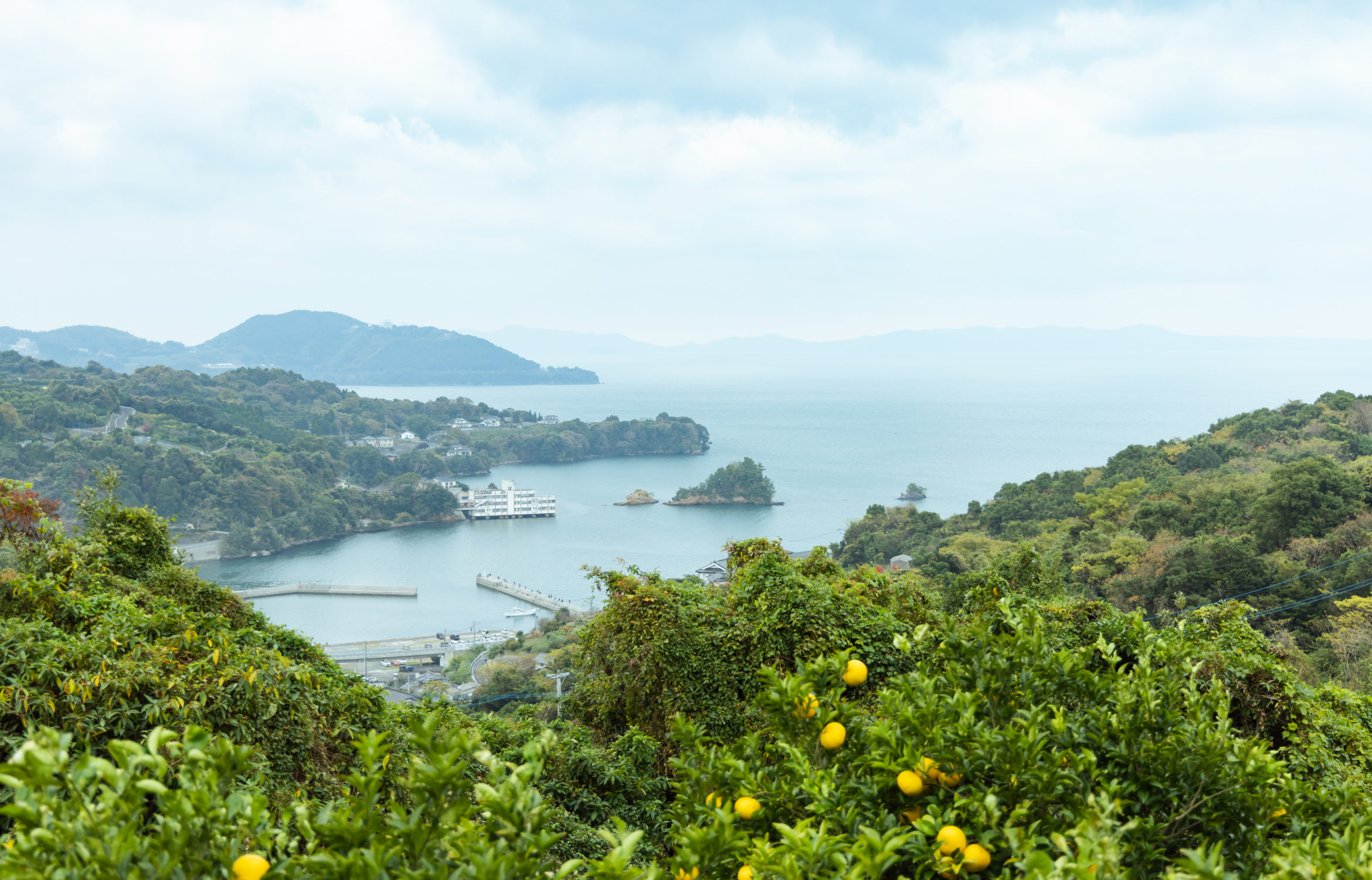 津奈木町｜エリアガイド｜株式会社UNAラボラトリーズ