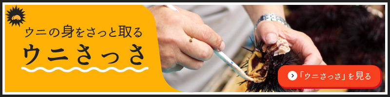 ウニのわた(内臓)をくるくる取る、ウニわたくるくる | ウニくる(有限