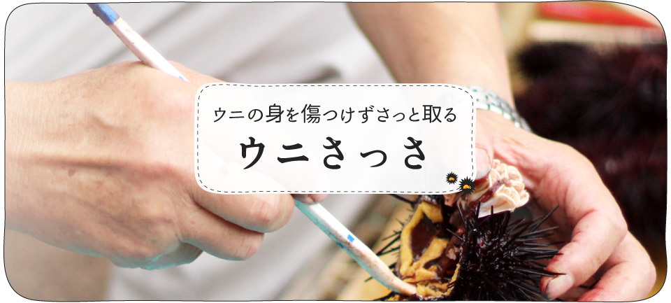 ウニの身をさっと取る、ウニさっさ | ウニくる(有限会社アール)