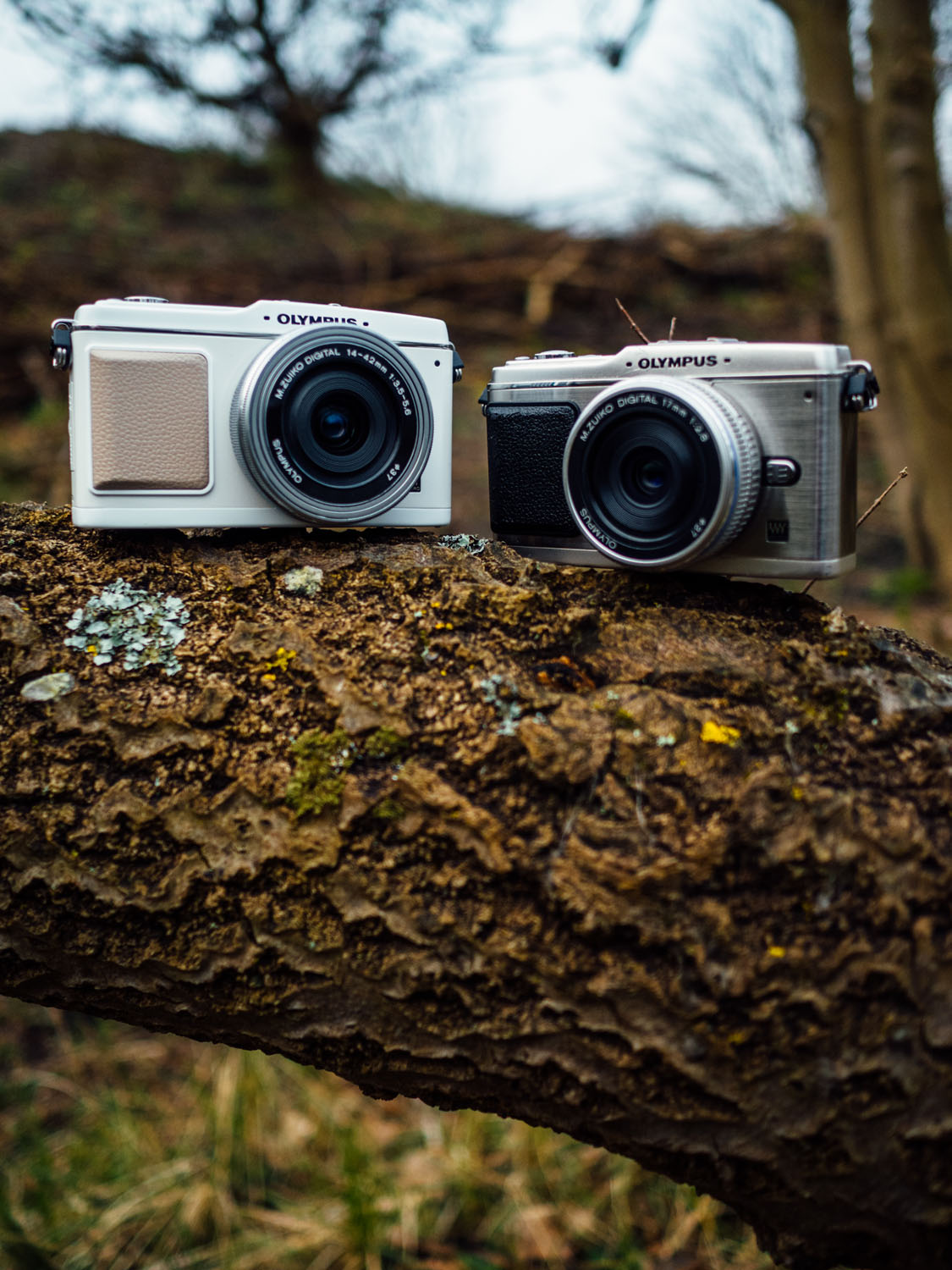 The Olympus PEN E-P1 - Olympus Passion