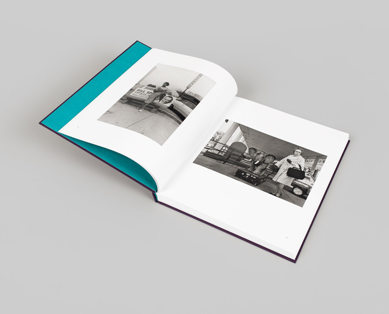 William Eggleston 'Mystery of the Ordinary' - Fragment