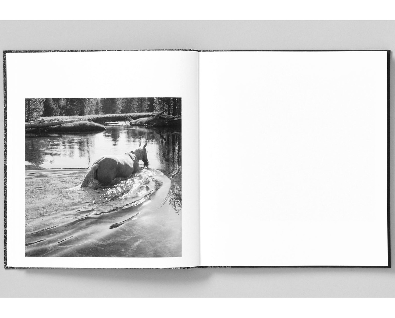 Mimi Plumb 'Megalith-Still' - Fragment