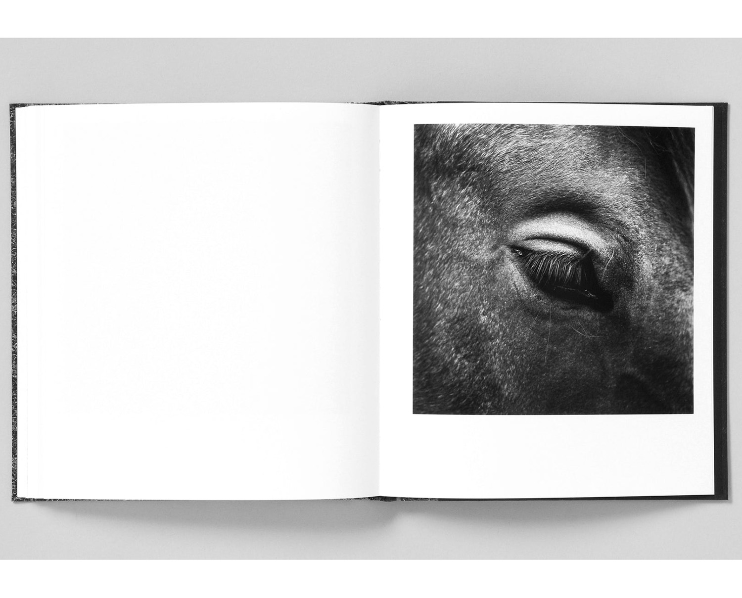 Mimi Plumb 'Megalith-Still' - Fragment