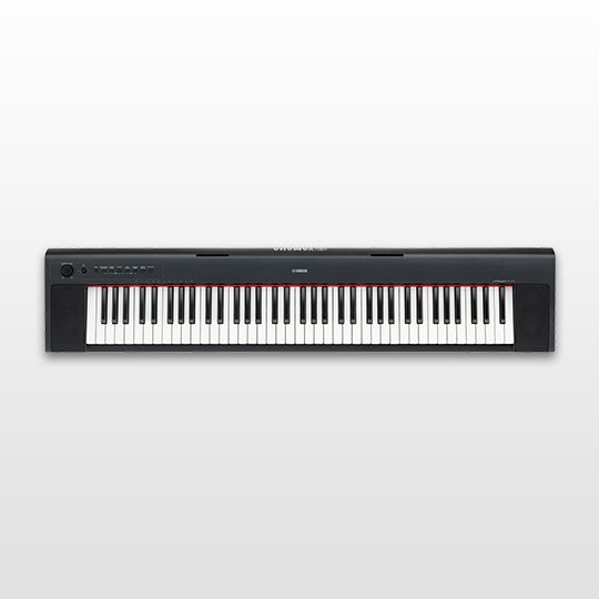 NP-31 - Overview - Piaggero - Keyboard Instruments - Musical