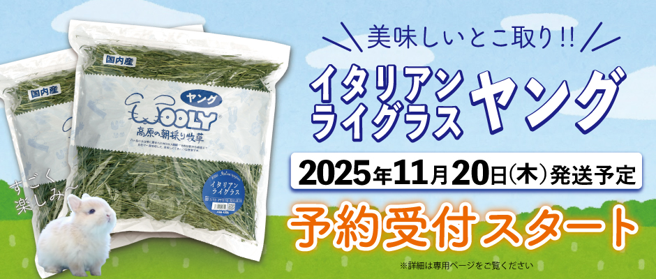 予約受付中】ウーリー社イタリアンライグラスヤングが11月20日発売