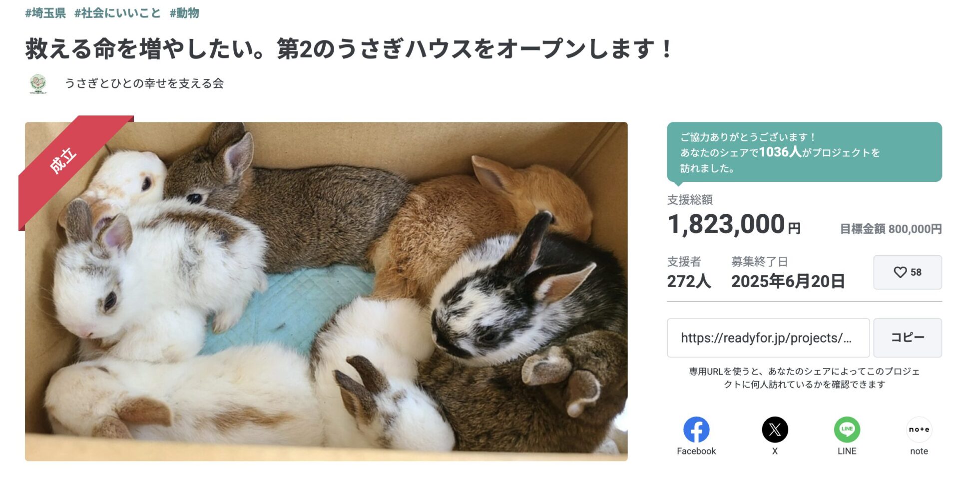 🎉クラウドファンディング達成のご報告と今後のお知らせ🐰 – ふじみ野