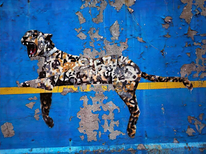 Banksy - Bronx Zoo - Fine Art Print | USAPRINTGALLERY