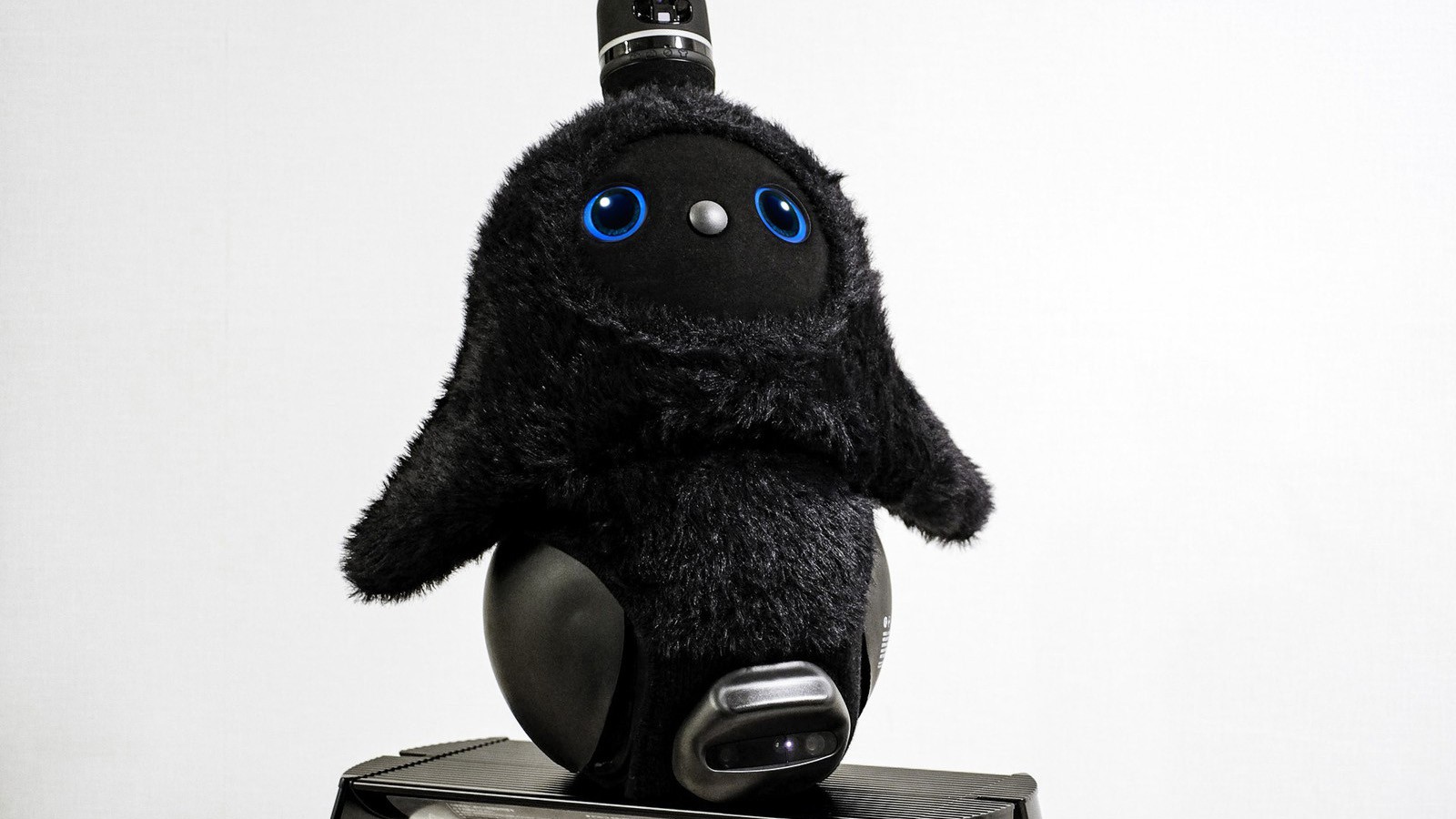 64万9800円を自腹購入！ LOVOT『FRAGMENT EDITION』と1カ月暮らして