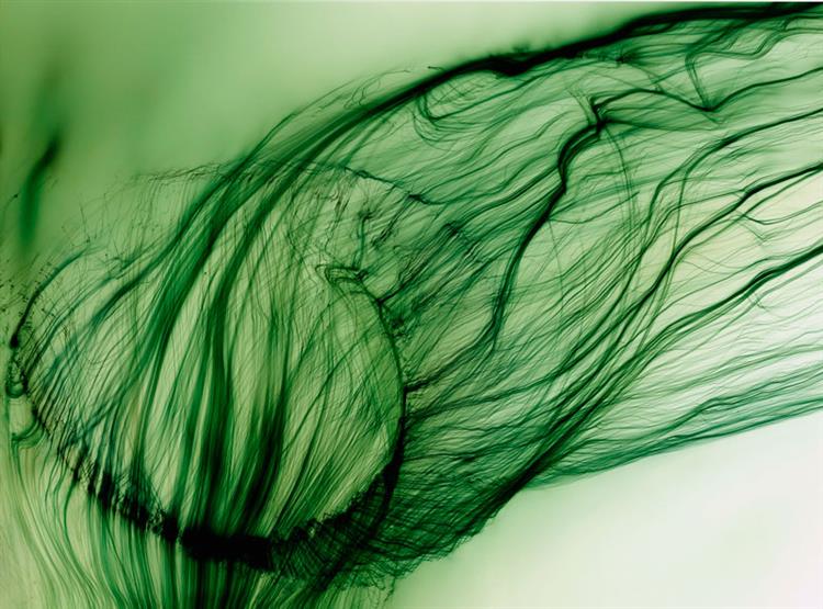 Freischwimmer, 2003 - Wolfgang Tillmans - WikiArt.org