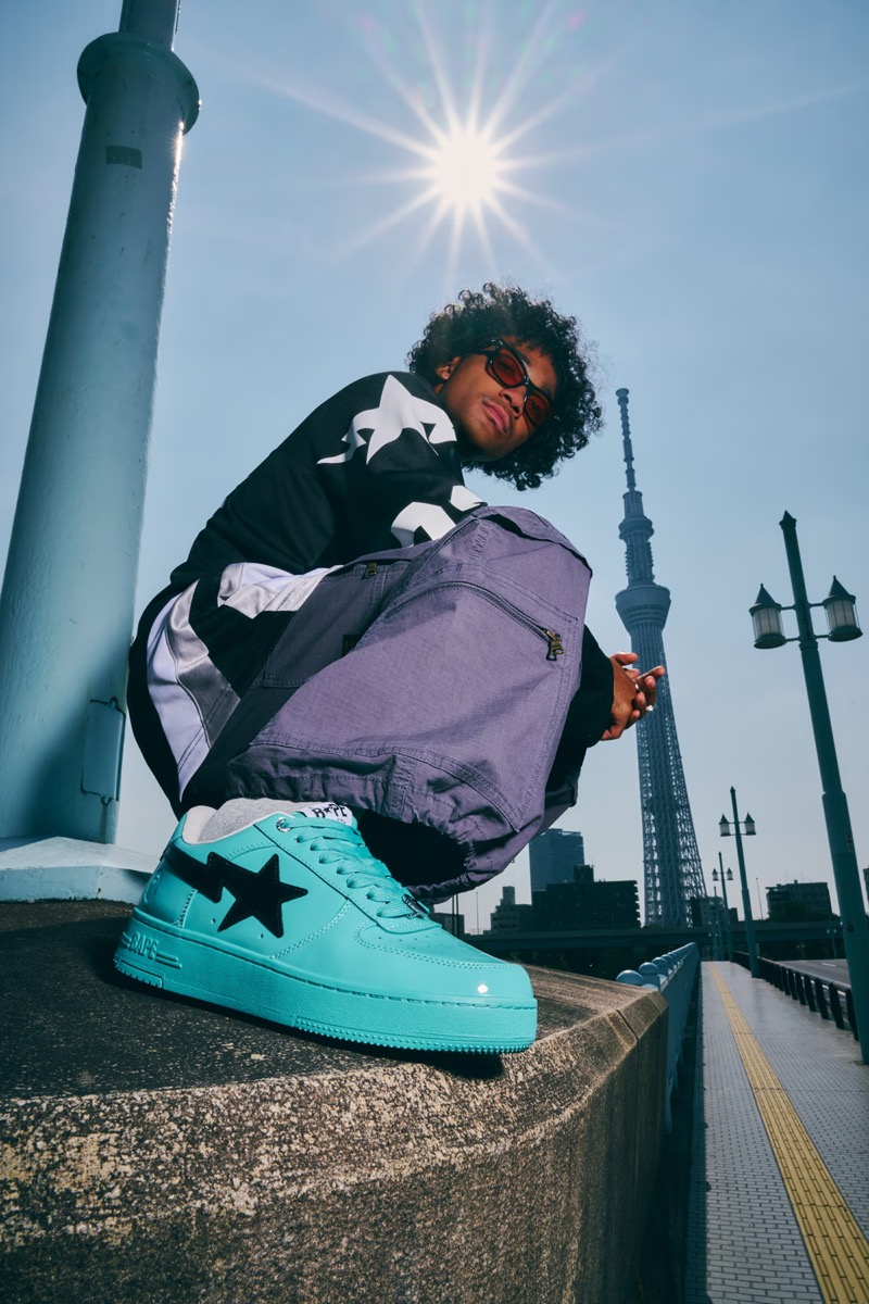 ア ベイシングエイプ 20周年キャンバスアート FUTURE 小サイズ ア