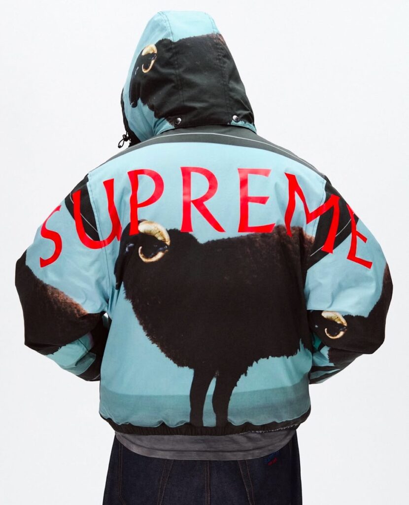 Supreme 25SS Collectionのティーザーが公開 | UP TO DATE