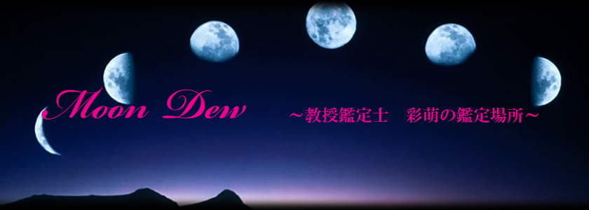 緒方泰州：泰山流四柱推命による鑑定|あべの(大阪市住吉区大領)-月の雫-