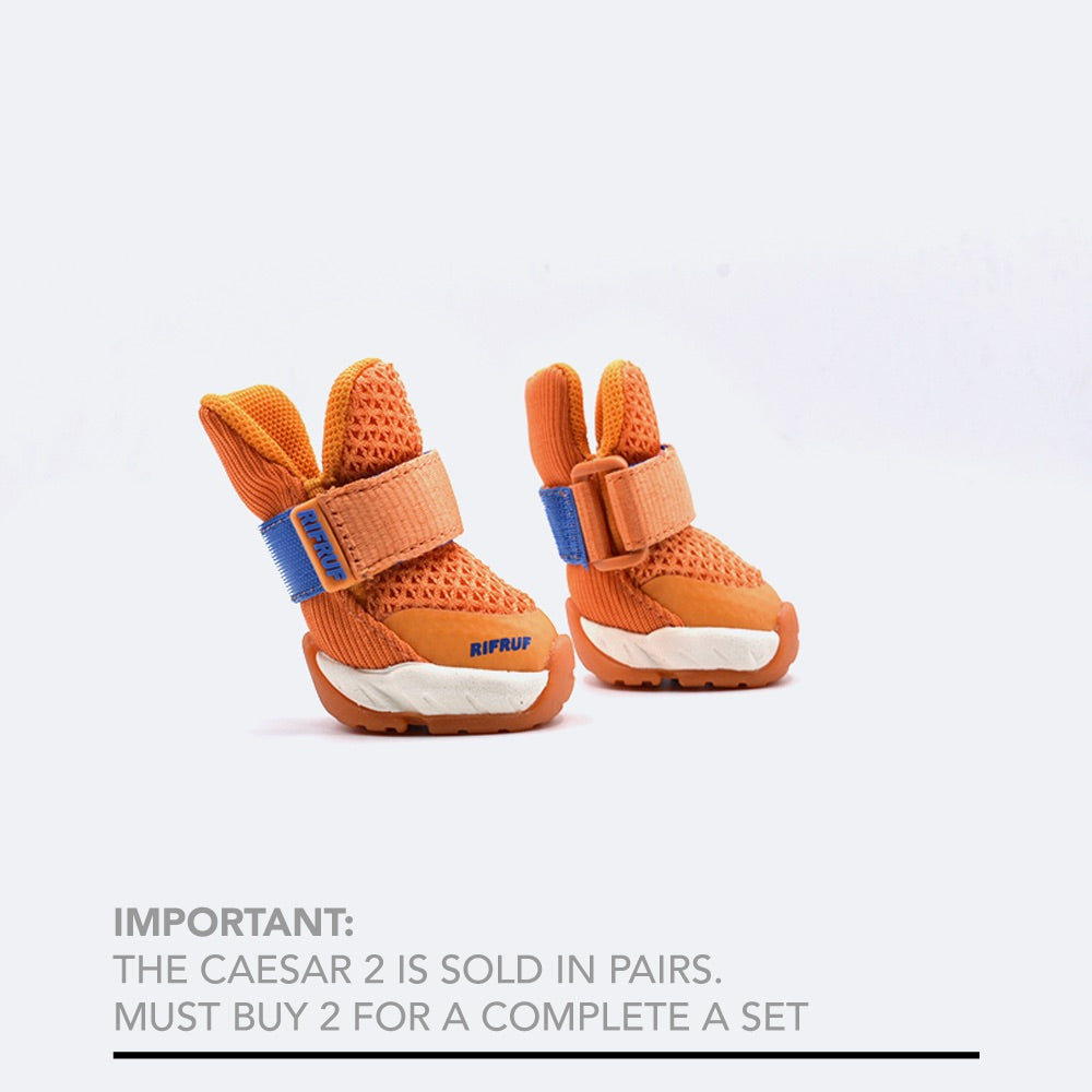 海外犬服 高品質なインポートのドッグウェア通販 