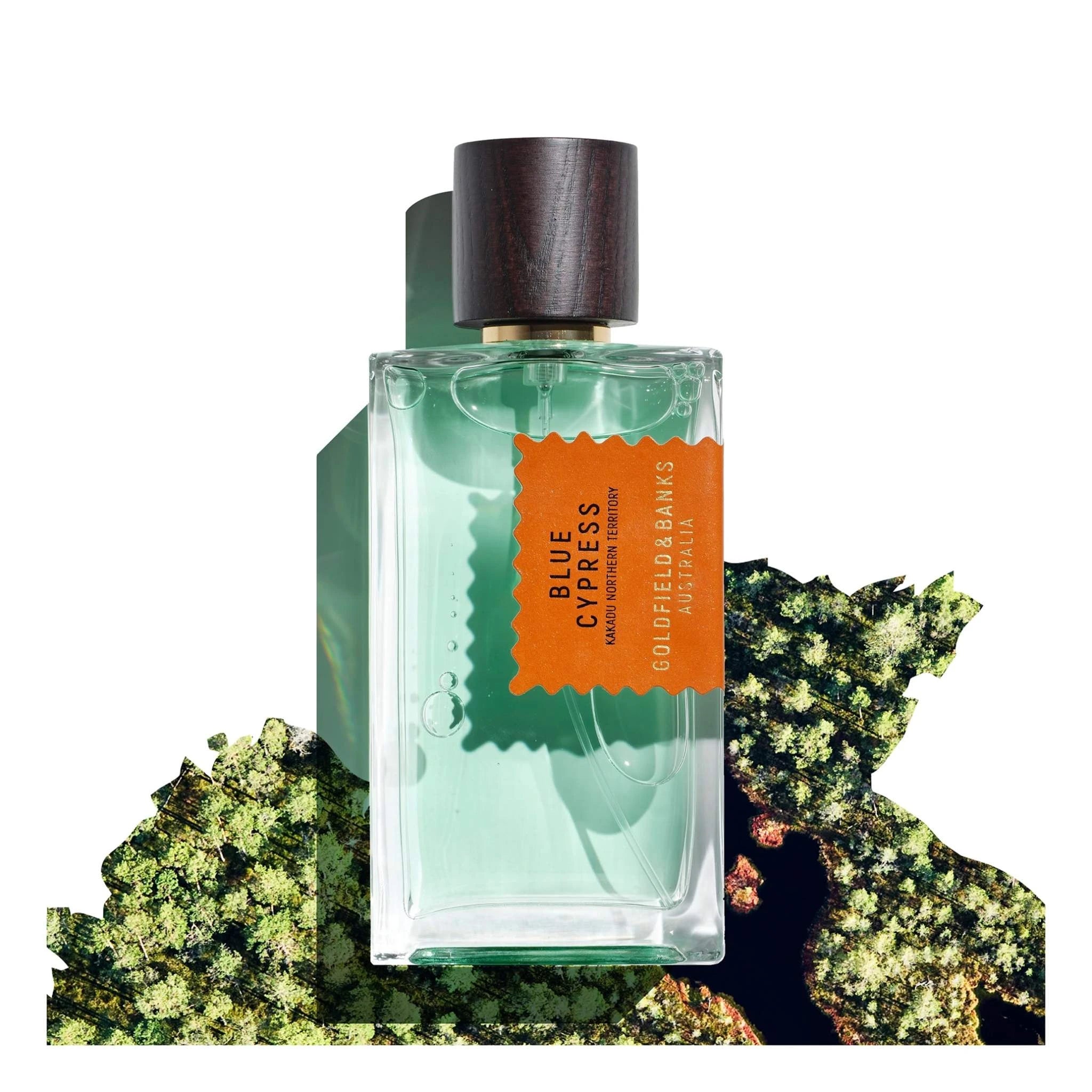 Blue Cypress Eau de Parfum – Cool Australian Cypress Blue