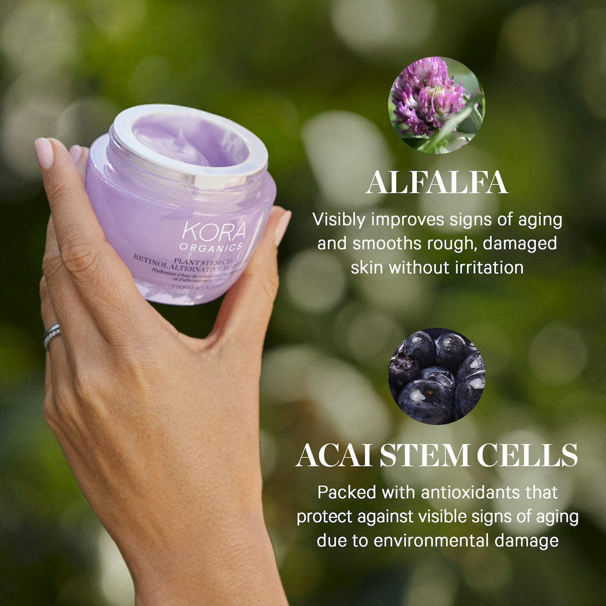 Buy Bakuchiol Moisturizer | Plant Stem Cell Moisturizer