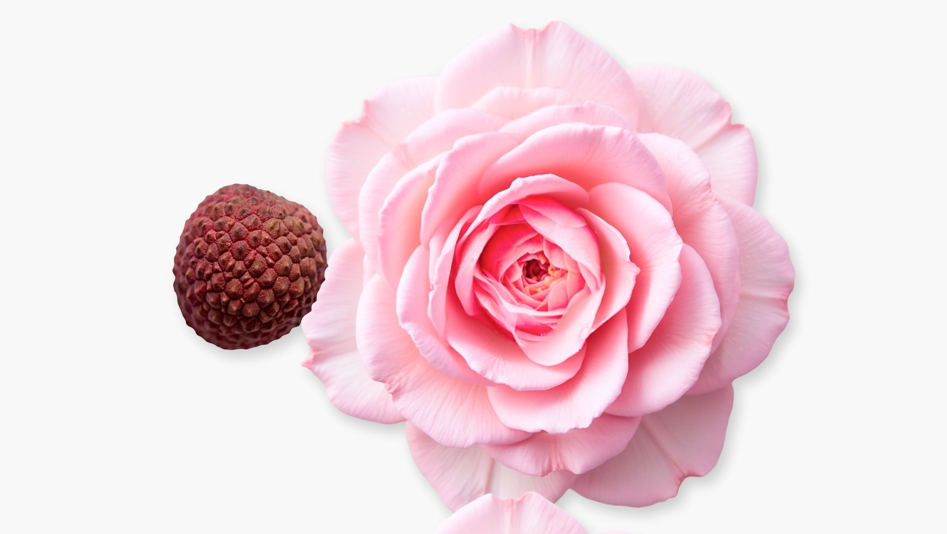 Delina Eau de Parfum (75ml) - Parfums de Marly Official Website