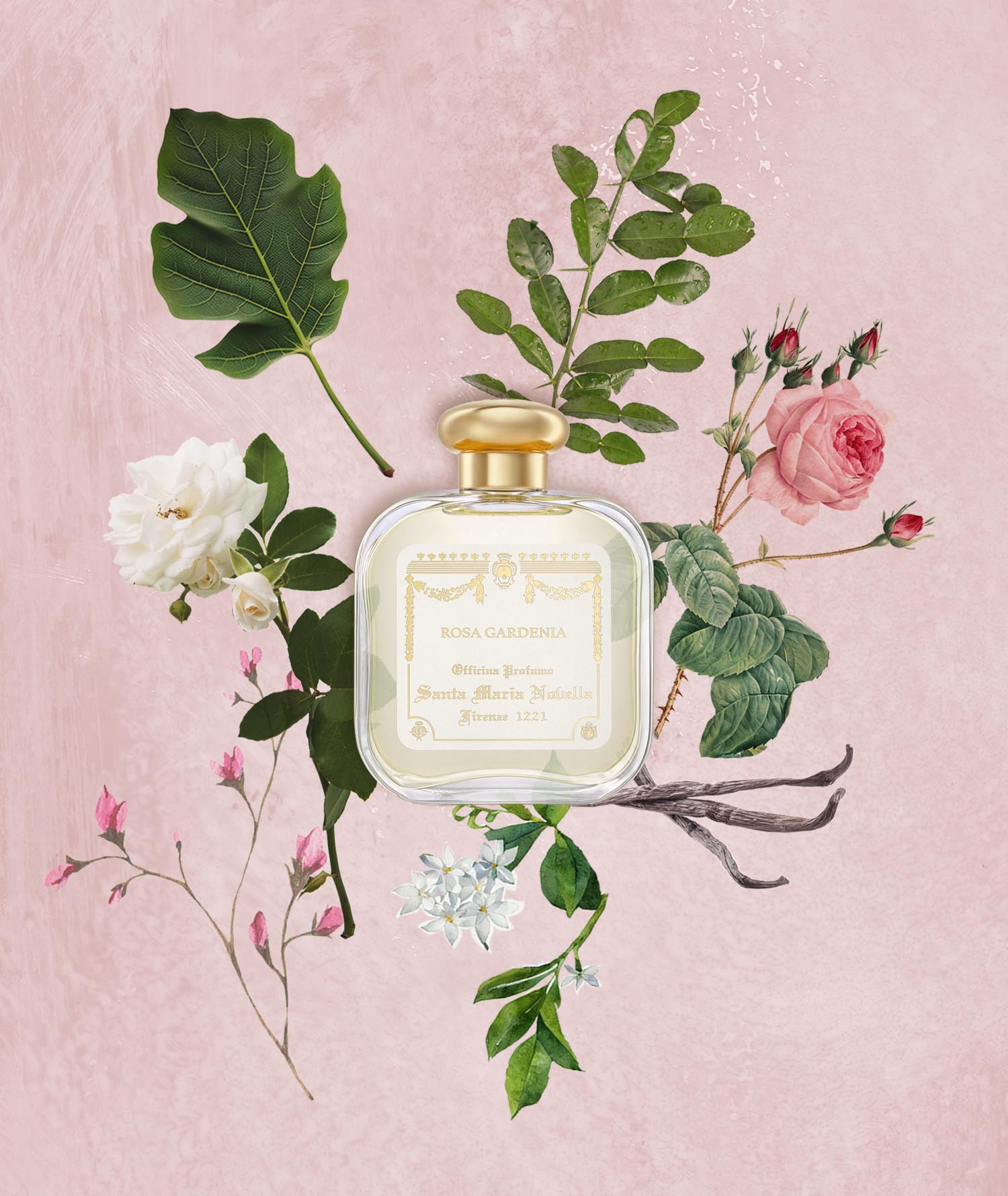 香水(女性用) Santa Maria Novella Rosa Gardenia 50ml Rosa Gardenia