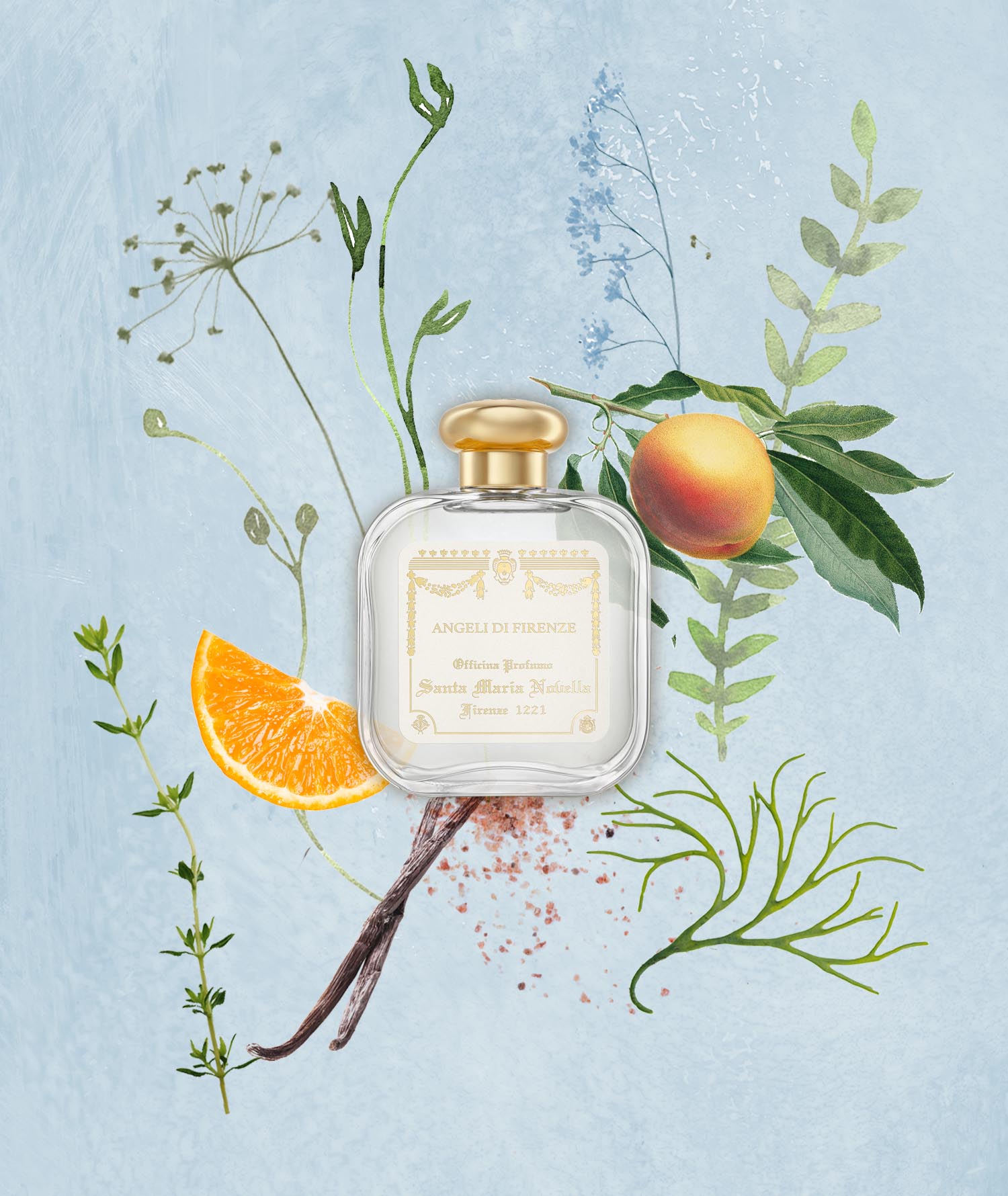 Angeli di Firenze: Eau de Cologne - Santa Maria Novella