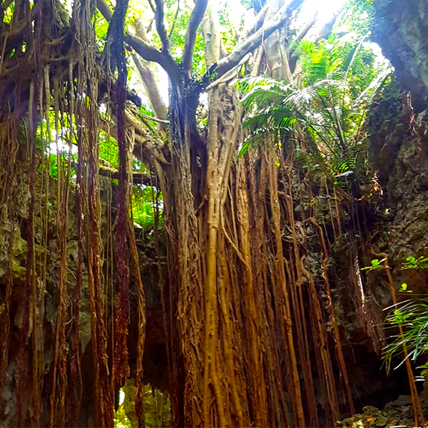 七御嶽 – 琉球開闢七御嶽ツアー