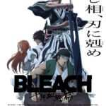 BLEACH 千年血戦篇-相剋譚-（第3クール） (アニメシリーズ) の作品詳細
