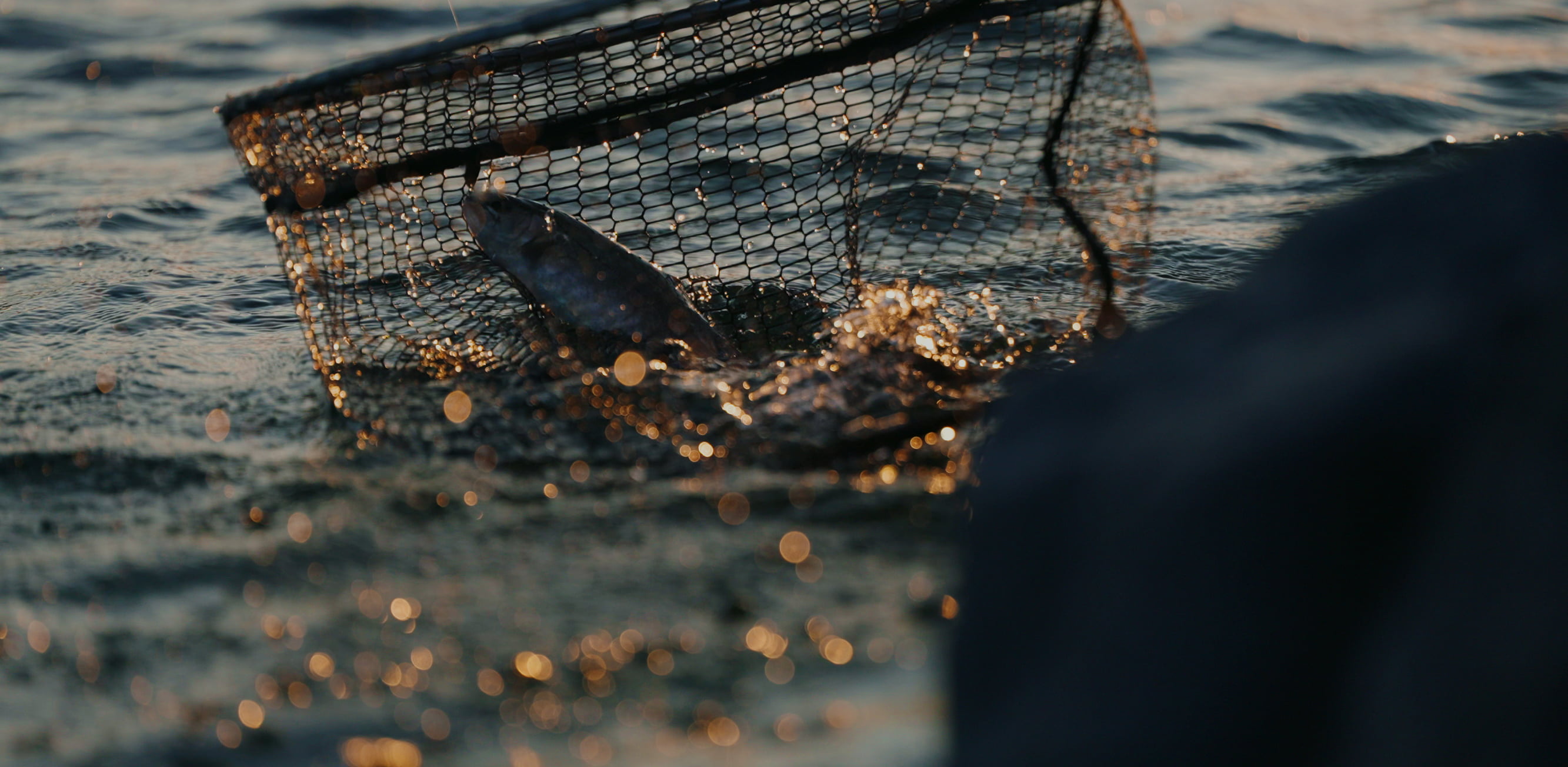 ValkeIN ヴァルケイン