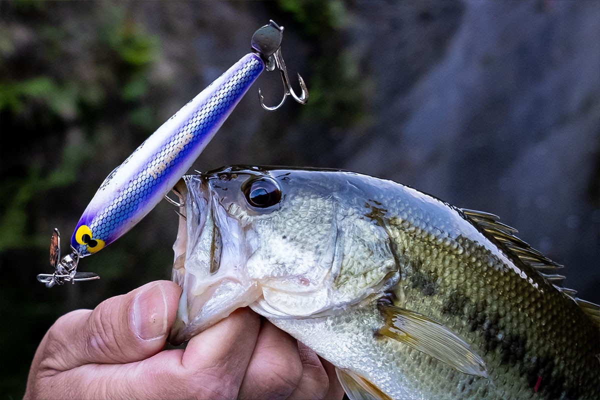 都内から約1時間半“ジブリの世界”でバスフィッシング！ 水面オンリーで