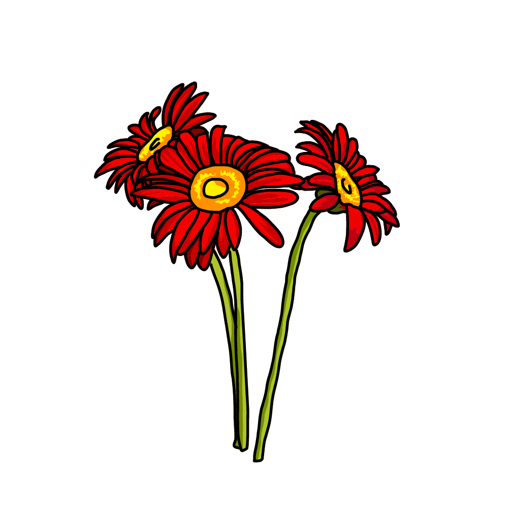 無料・商用利用OKのベクター素材【ガーベラ（表）のイラスト