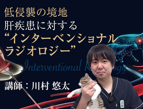 低侵襲の境地 肝疾患に対する “インターベンショナルラジオロジー