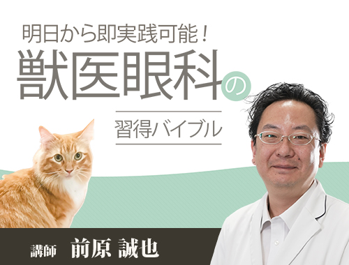 明日から即実践可能！獣医眼科の習得バイブル|VetMovie 獣医師向け映像