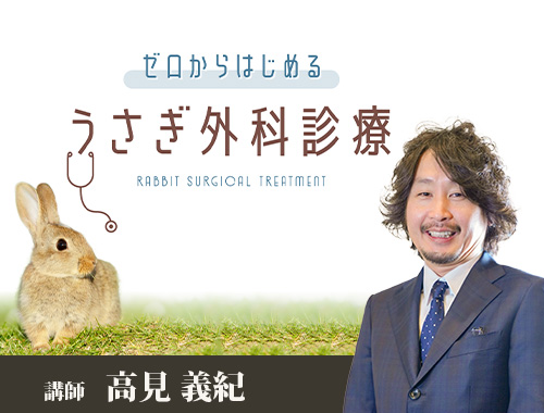 ゼロからはじめるうさぎ外科診療|VetMovie 獣医師向け映像教材配信