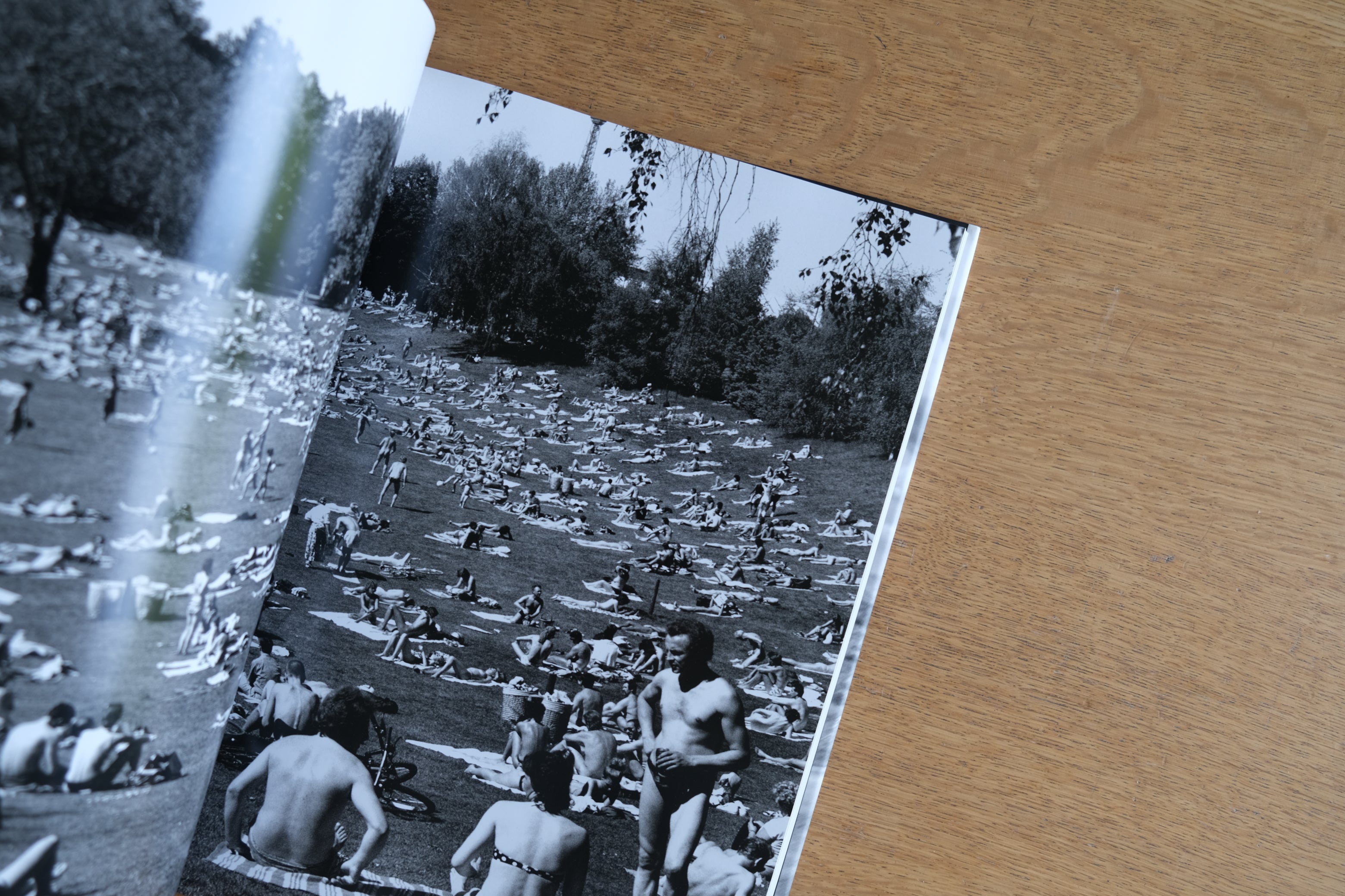 美本］Helmut Newton『Sex and Landscapes』｜TASCHEN刊（2004年