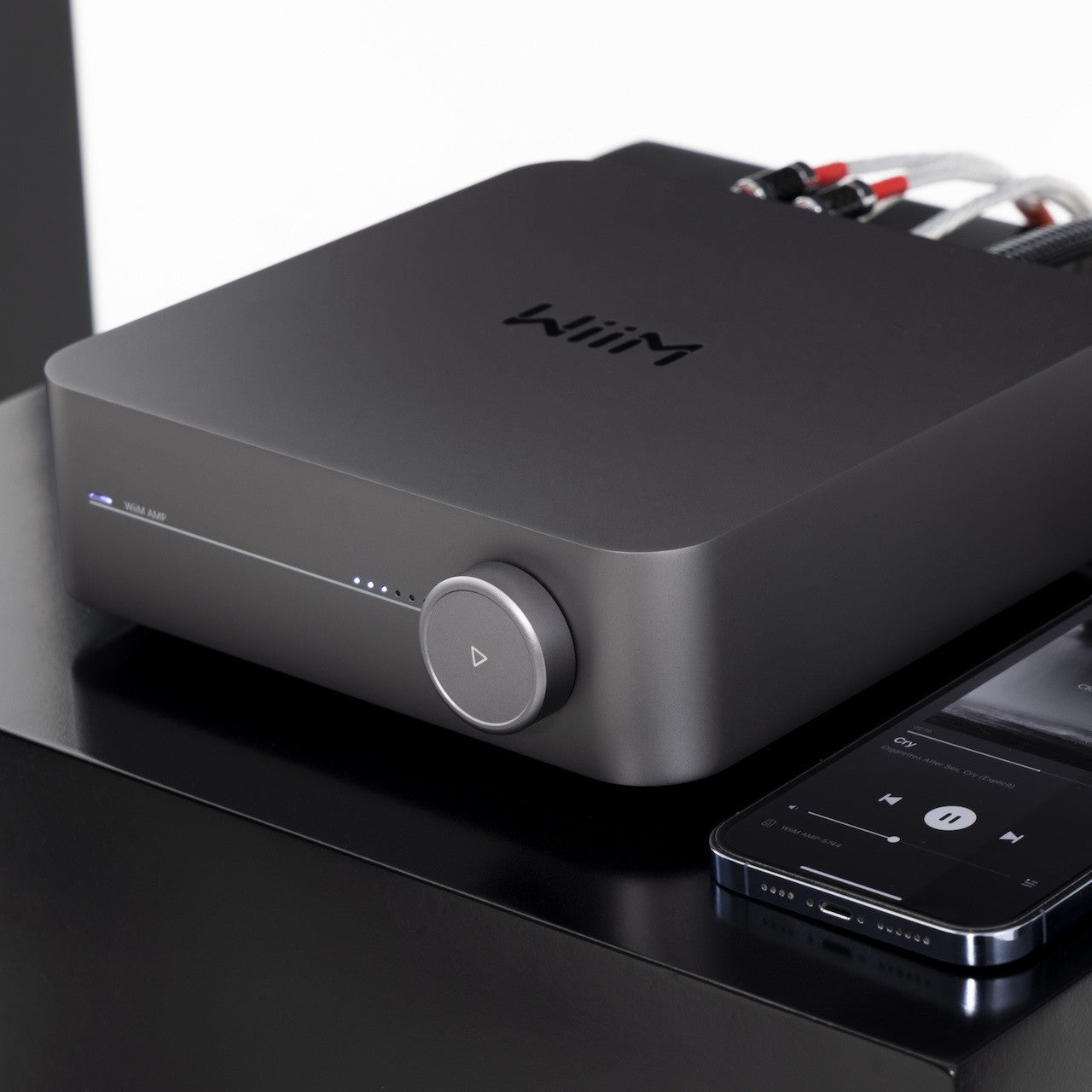 WiiM Amp Pro Streaming Amplifier | Vinyl Sound Toronto Canada