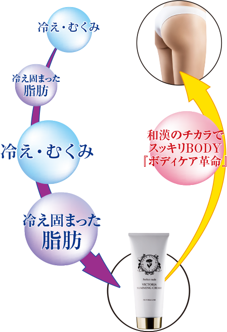ビクトリアライン ヴィクトリアスリミングクリーム ｜ VICTORIA LINE