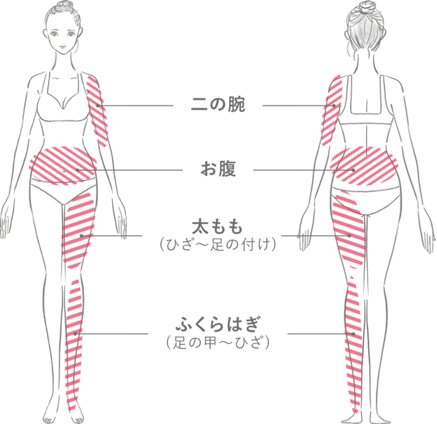 ビクトリアライン ヴィクトリアスリミングクリーム ｜ VICTORIA LINE