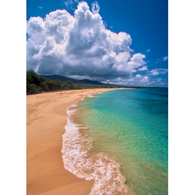 Victoria McCormick ハワイの風景画 Hawaii art Victoria McCormick