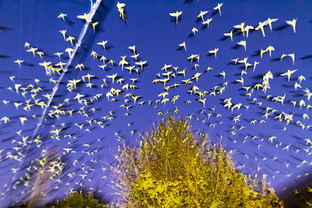 若き写真家が見る歪んだ世界 vol.3 水谷吉法
