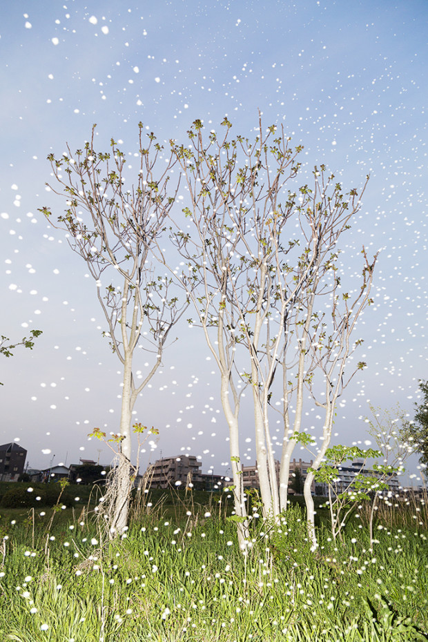 若き写真家が見る歪んだ世界 vol.3 水谷吉法