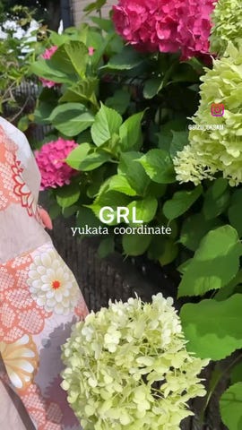 水彩菊浴衣セット[gi1218] | レディースファッション通販のグレイル