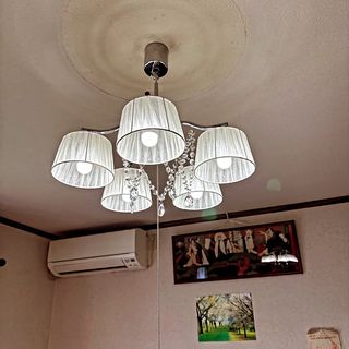 ペンダントライト ソフィア(242P-5FN) | ニトリネット【公式】 家具